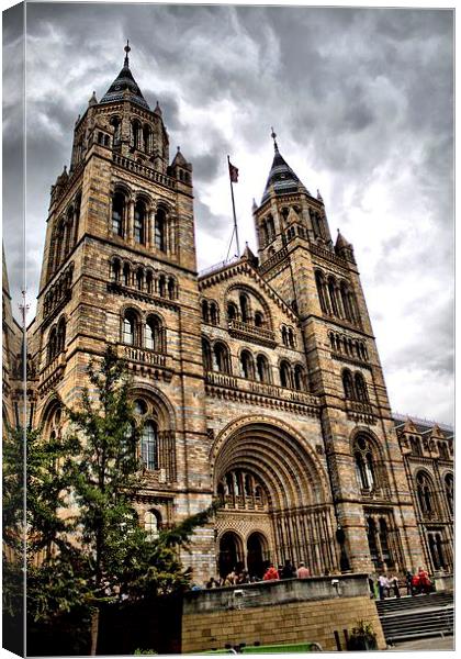 Natural History Museum Canvas Print by Paul Austen