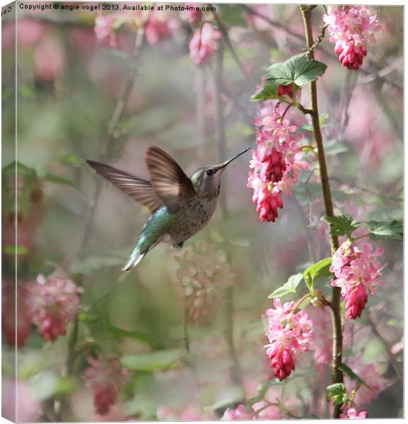 Hummingbird Heaven Canvas Print by angie vogel