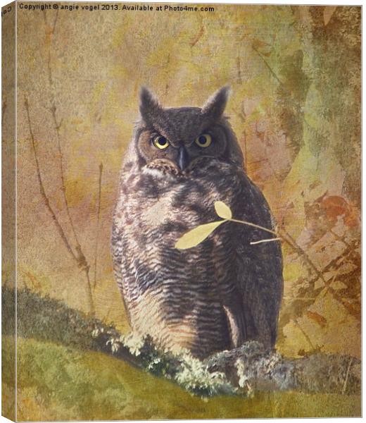 Autumn Owl Canvas Print by angie vogel