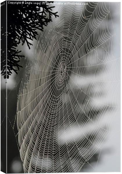 Spider Web Canvas Print by angie vogel