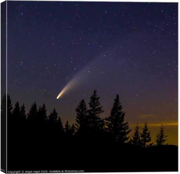 Comet Neowise Canvas Print by angie vogel
