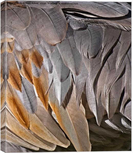 Sandhill Crane Feather Detail 2 Canvas Print by Steven Ralser