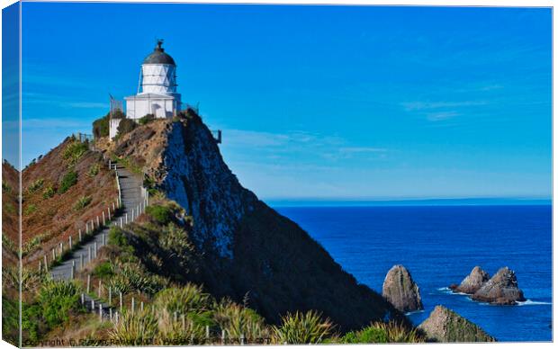 Nugget Point Lighthouse 4 - Catlins - New Zealand Canvas Print by Steven Ralser
