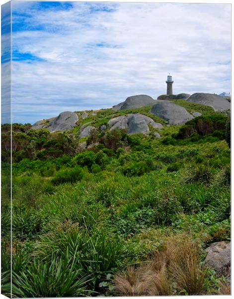 Montague Island Lighthouse - Australia 5 Canvas Print by Steven Ralser