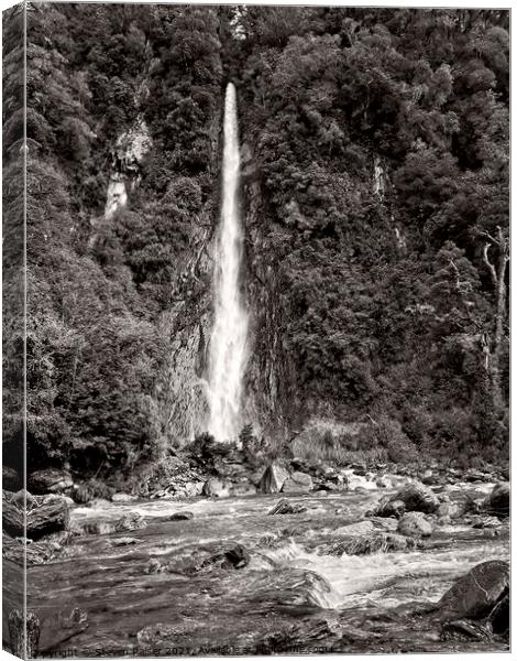 Thunder Creek Falls BW- New Zealand Canvas Print by Steven Ralser