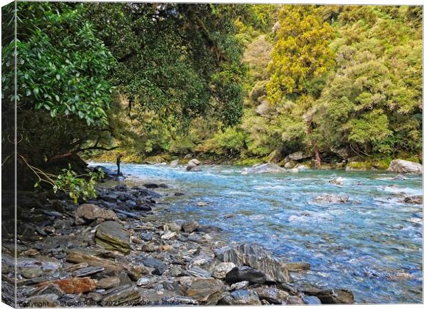 Haast River, South Island, New Zealand Canvas Print by Steven Ralser