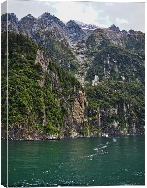 Waterfall - Milford Sound - New Zealand Canvas Print by Steven Ralser