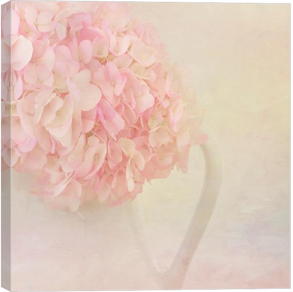 Pink Hydrangea Flowers Canvas Print by Kim Hojnacki