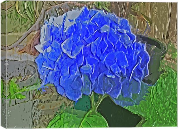 Hydrangea Blues Canvas Print by Pamela Briggs-Luther