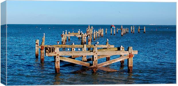 Swanage Old Pier Canvas Print by Stephen Oakley