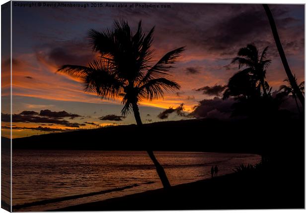  Maui Sunset Canvas Print by David Attenborough