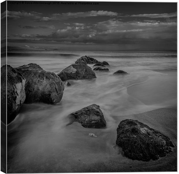  Maui Beach Boulders Canvas Print by David Attenborough