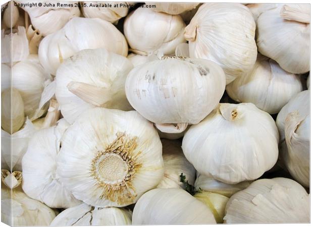 Garlic Bulbs Canvas Print by Juha Remes