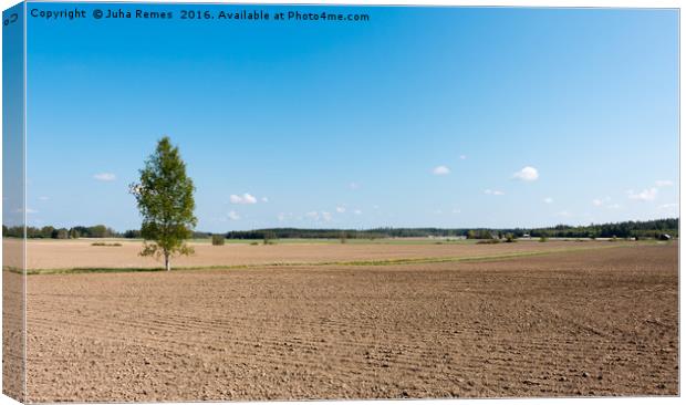 Finnish Countryside Canvas Print by Juha Remes