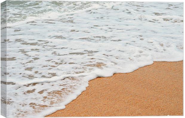 Sand and Water Canvas Print by Nicole Rodriguez