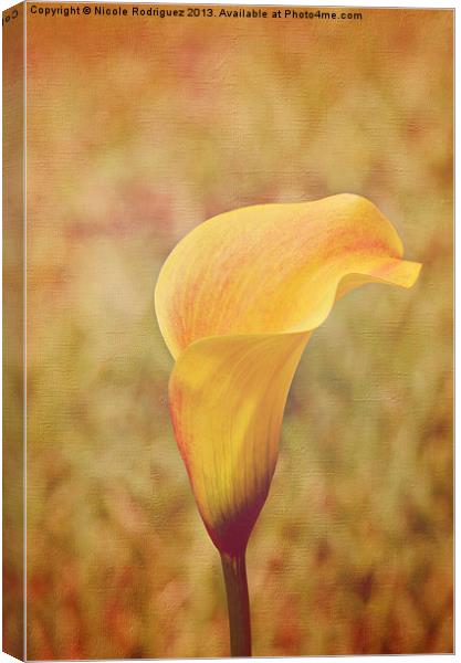 Fall Calla Lily 2 Canvas Print by Nicole Rodriguez
