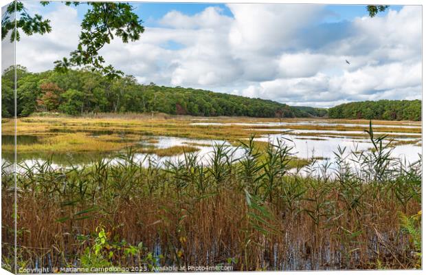 Lovely Wetlands Canvas Print by Marianne Campolongo