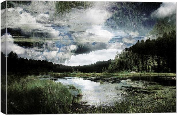 lake in the forest Canvas Print by olga hutsul
