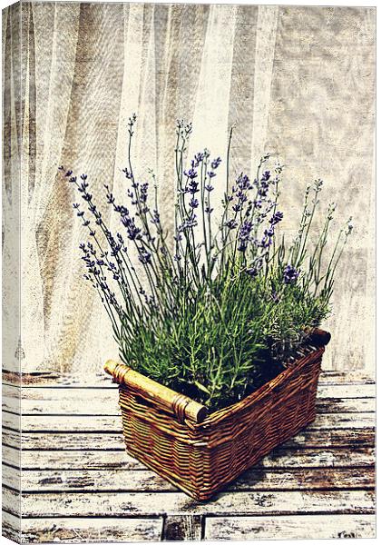 basket with lavender Canvas Print by olga hutsul