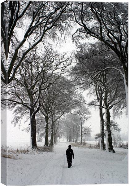 Stepping into Winter Canvas Print by john joyce