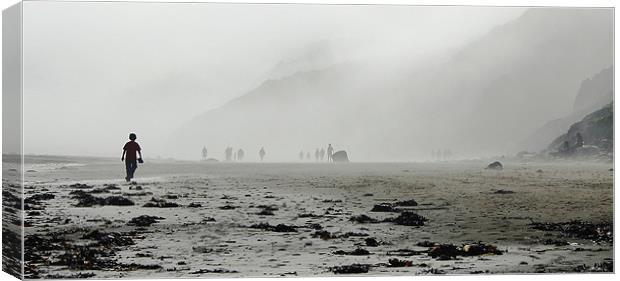 Into the Mist Canvas Print by john joyce