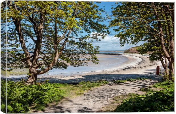 Beach, Penrhos Country Park Canvas Print by Wendy Williams CPAGB