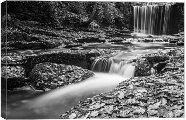 Plas Power Waterfall in mono Canvas Print by Wendy Williams CPAGB