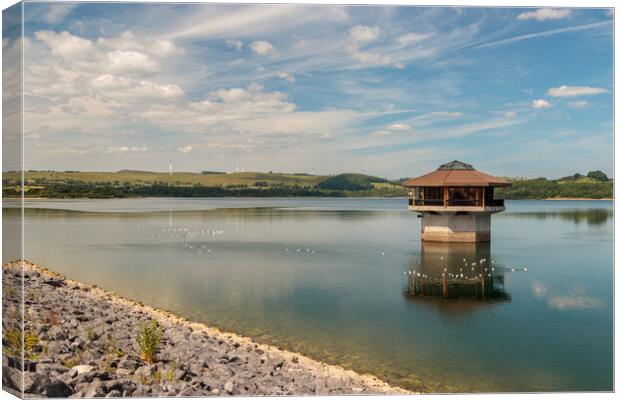 Serene Reflections of Carsington Water Canvas Print by Wendy Williams CPAGB