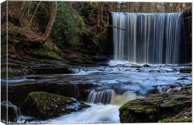 Plas Power Falls Canvas Print by Wendy Williams CPAGB