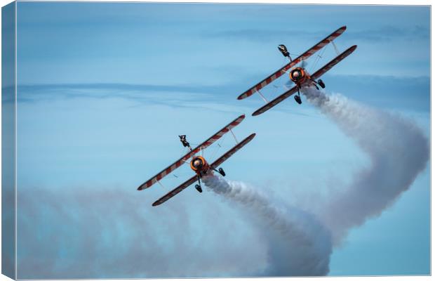Wing Walkers Canvas Print by Wendy Williams CPAGB