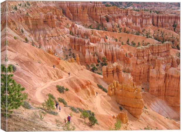 Sunset Point, Bryce Canyon Canvas Print by Wendy Williams CPAGB