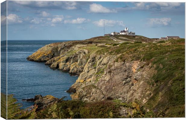 Pont Lynas Lighthouse Canvas Print by Wendy Williams CPAGB