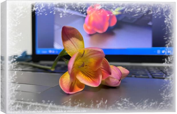 Freesia flower on the keyboard Canvas Print by Marinela Feier
