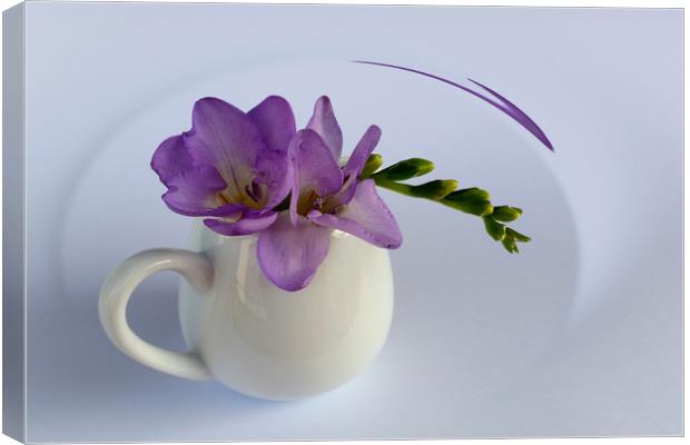 purple freesia flower Canvas Print by Marinela Feier