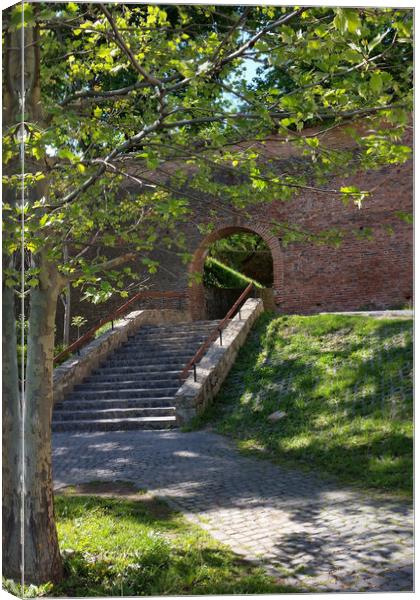 old fortress wall Canvas Print by Marinela Feier