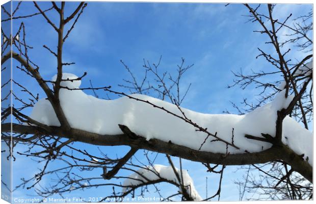 Snow on branches Canvas Print by Marinela Feier