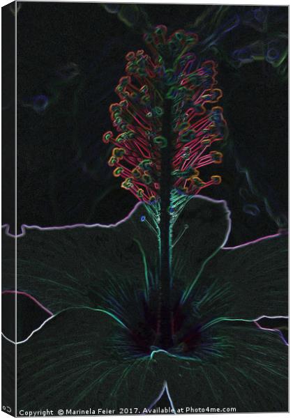 velvet colored flower Canvas Print by Marinela Feier