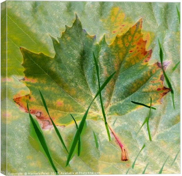 Late autumn Canvas Print by Marinela Feier