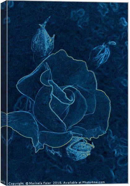 blue rose contour Canvas Print by Marinela Feier