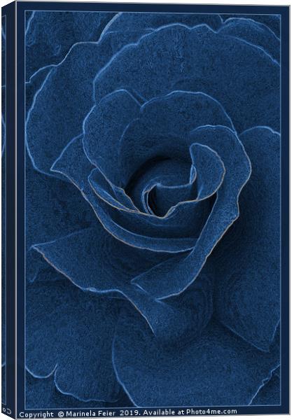 Velvet blue rose Canvas Print by Marinela Feier