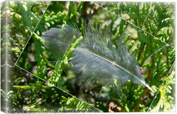 A stray feather Canvas Print by Marinela Feier