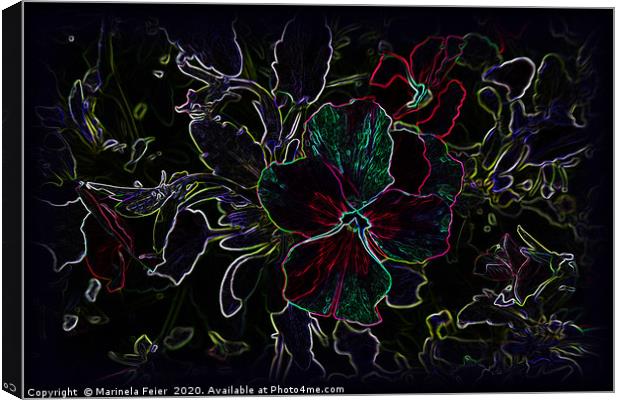 Glowing pansy contours Canvas Print by Marinela Feier