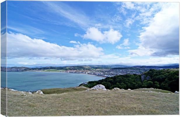 The summit of The Great Orme Canvas Print by leonard alexander
