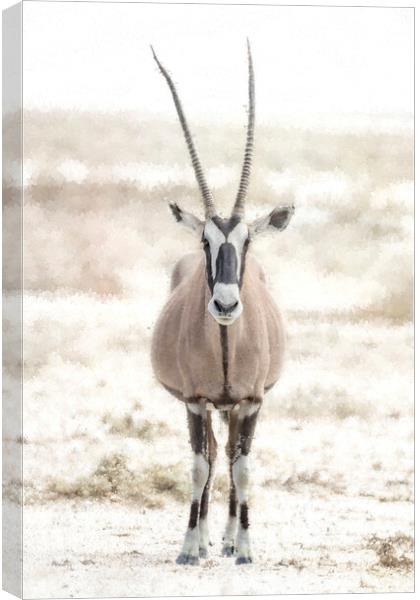 Oryx Posing at Etosha Canvas Print by Belinda Greb