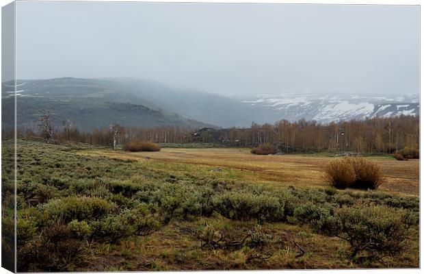 Steens Mountain Landscape - No 2A Canvas Print by Belinda Greb