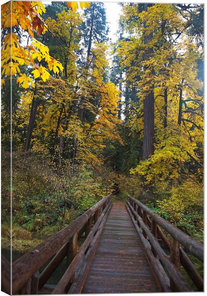 Crossing the Bridge Canvas Print by Belinda Greb