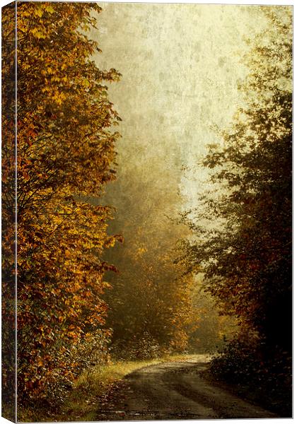 Another Road Travelled Canvas Print by Belinda Greb
