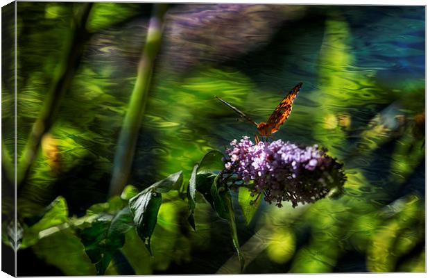 Butterfly Ripple Canvas Print by Belinda Greb