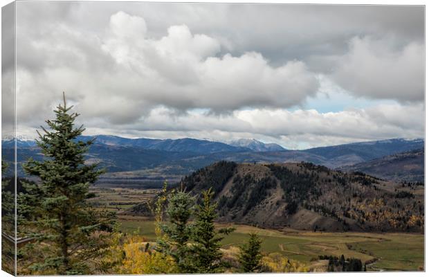 I Want to Get Lost and Drift Away Canvas Print by Belinda Greb