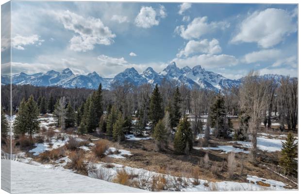 Grand Tetons from Schwabacher Road Canvas Print by Belinda Greb